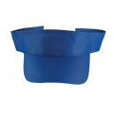 VISERA SUMMER